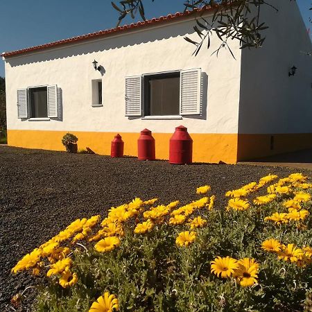 Monte Quinta Verde Ferreira Do Alentejo Eksteriør billede