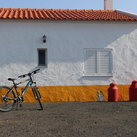 Monte Quinta Verde Ferreira Do Alentejo Eksteriør billede