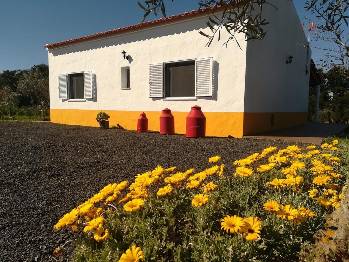 Monte Quinta Verde Ferreira Do Alentejo Eksteriør billede
